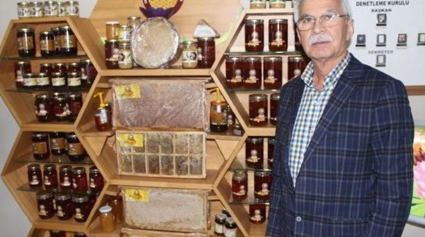 Ordulu Gezginci Arıcılar Arı Kuşundan Dertli