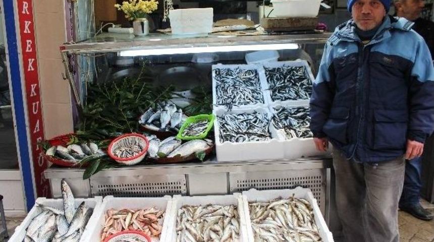 Ordu&rsquo;da Balık Cep Yakıyor