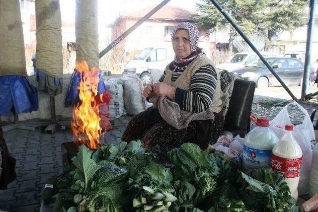 Köylü Kadınların 10 Parmağında 10 Marifet