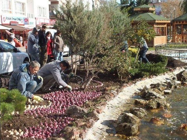 Hedef Çiçek Gibi Keçiören