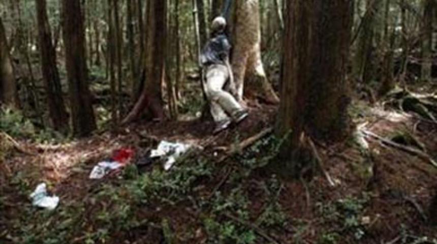 Pusulaların şaştığı korkun&ccedil; orman