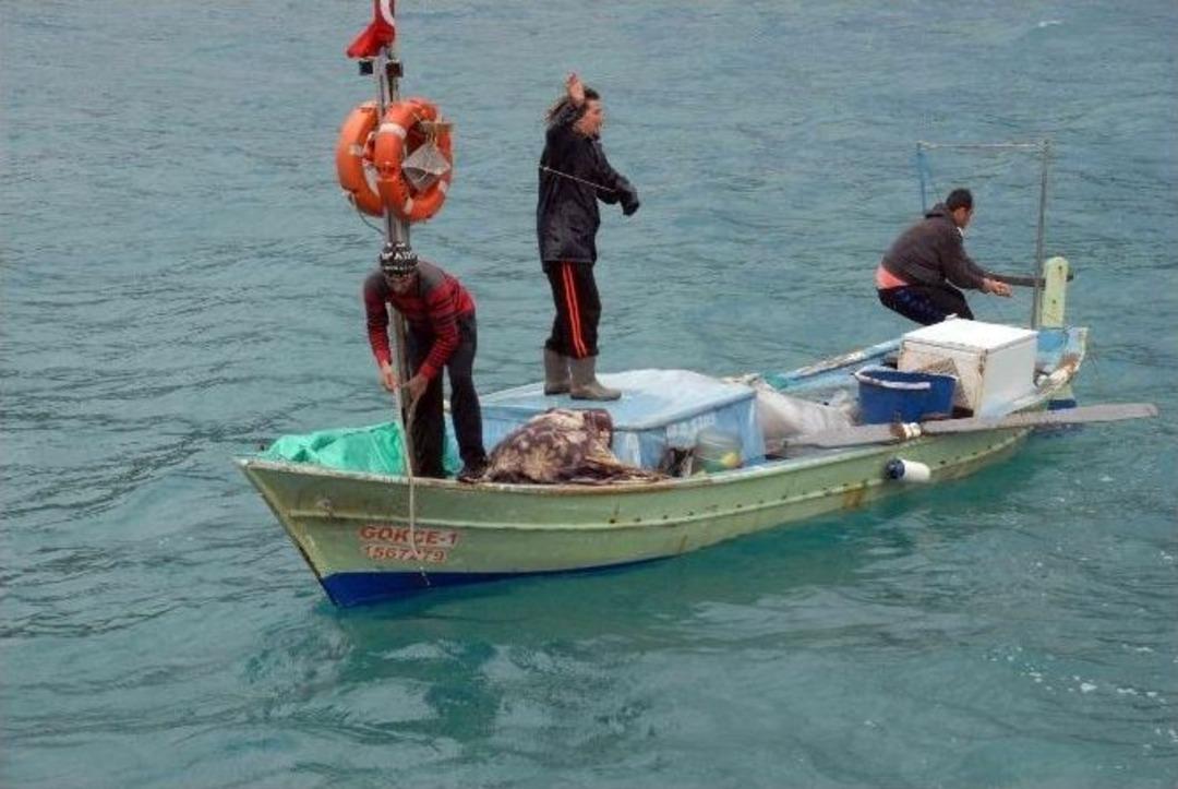 Fethiye&rsquo;de Plajda Ceset Bulundu