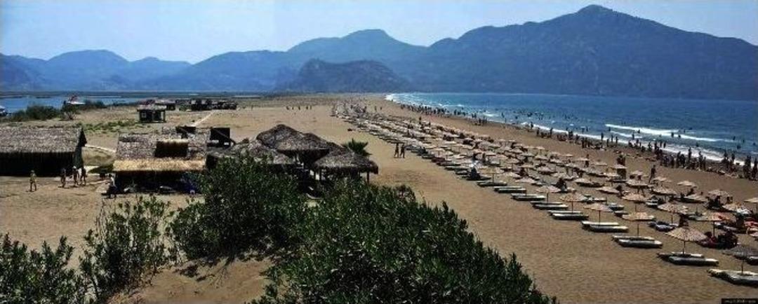 İztuzu Plajı, Muğla Sıtkı Ko&ccedil;man &Uuml;niversitesi&rsquo;ne Devrediliyor