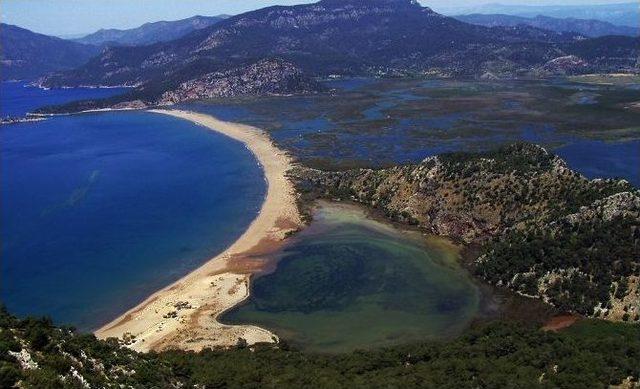 İztuzu Plajı, Muğla Sıtkı Koçman Üniversitesi’ne Devrediliyor