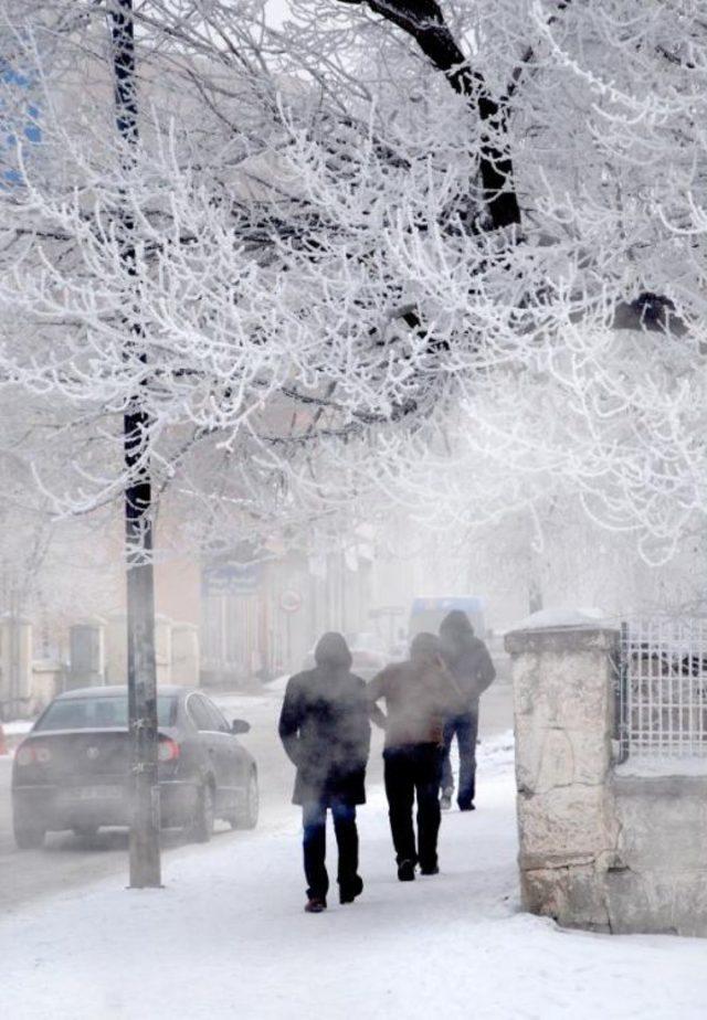 Ardahan'ın Göle: -24.5