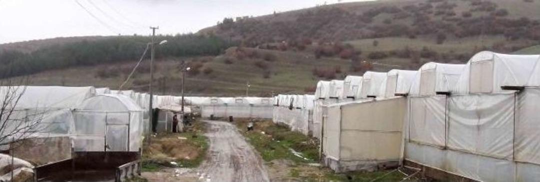 Seracılığın &rsquo;p&uuml;f Noktaları&rsquo;nı &Ouml;ğrendiler