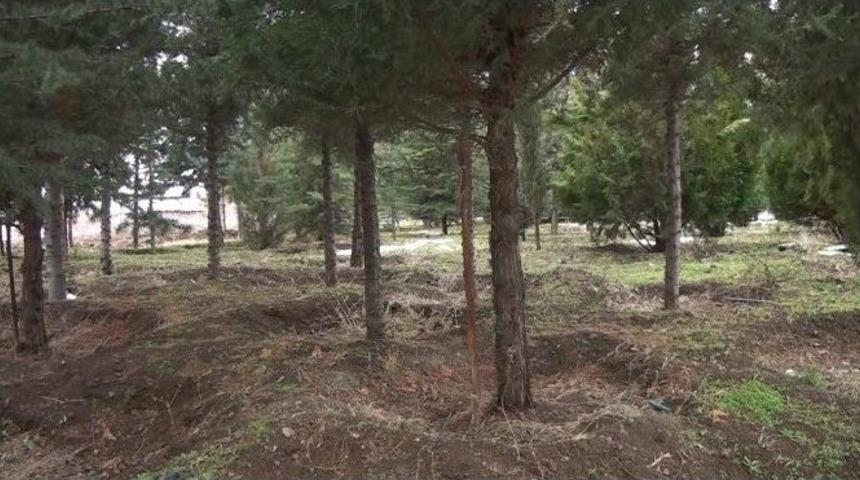 Yazıkonak Beldesi&rsquo;nde Doğa Ve &Ccedil;evre Koruma Derneği Kuruldu