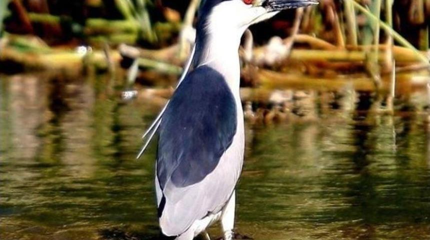 Sulak Alanlar El Birliği İle Korunmalı