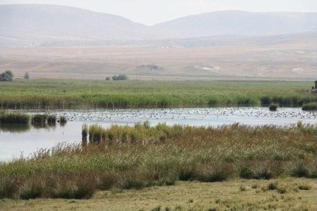 Sulak Alanlar El Birliği İle Korunmalı