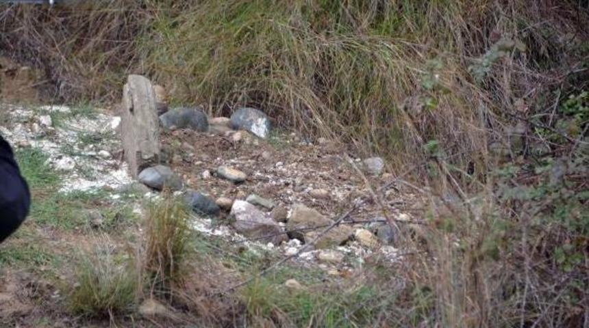 Ceset Olduğu Sanılan Mezarda K&ouml;pek Leşi Bulundu
