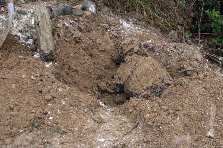 Şüpheli Mezardan Bebek Değil, Köpek Çıktı G1