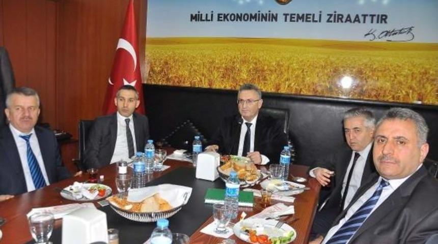 Manisa'da Yaş &Uuml;z&uuml;m Ihracatında Tarihi Rekor