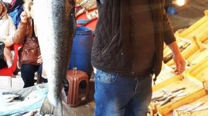 Tezgahtaki B&uuml;y&uuml;k Norve&ccedil; Somonu İlgi &Ccedil;ekti