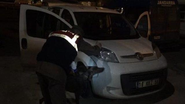 Feribot Iskelesinde Aranan Otomobilde 30 Kilo Bonzai Ele Geçirdi