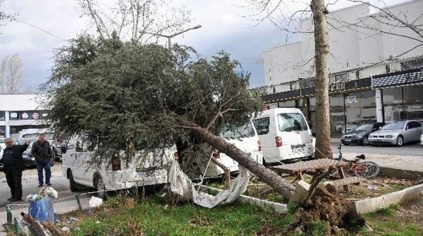 Lodos Hayatı Fel&ccedil; Etti