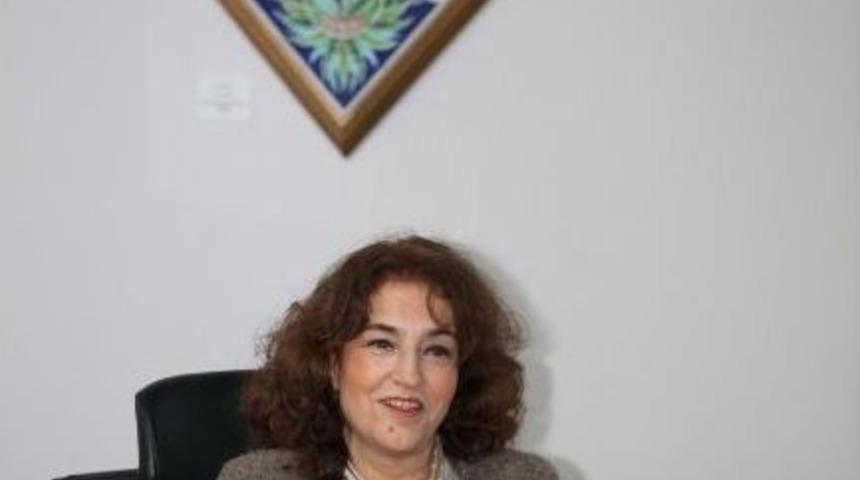 T&uuml;rk &Ccedil;ini Sanatı&rsquo;nda İki Yeni Teknik