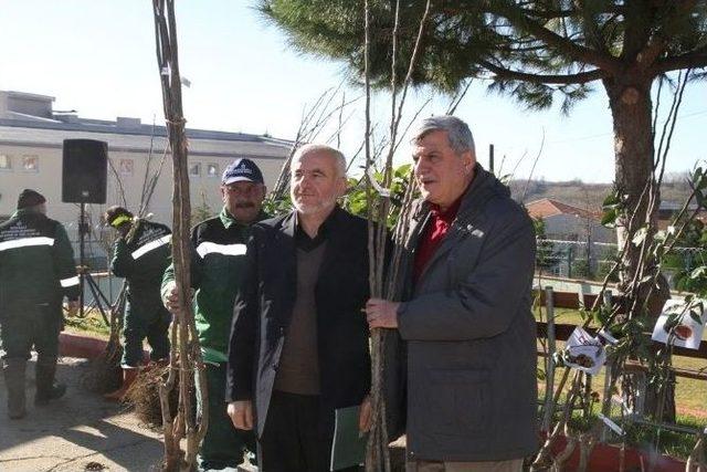 Kandıralı Çiftçiler Meyve Fidanlarıyla Buluştu