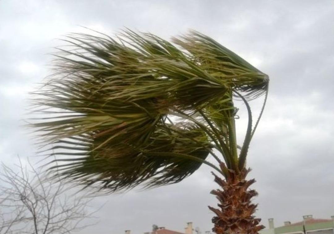 Ayvalıkta Şiddetli Lodos Balık&ccedil;ı Teknelerini Yerle Bir Etti