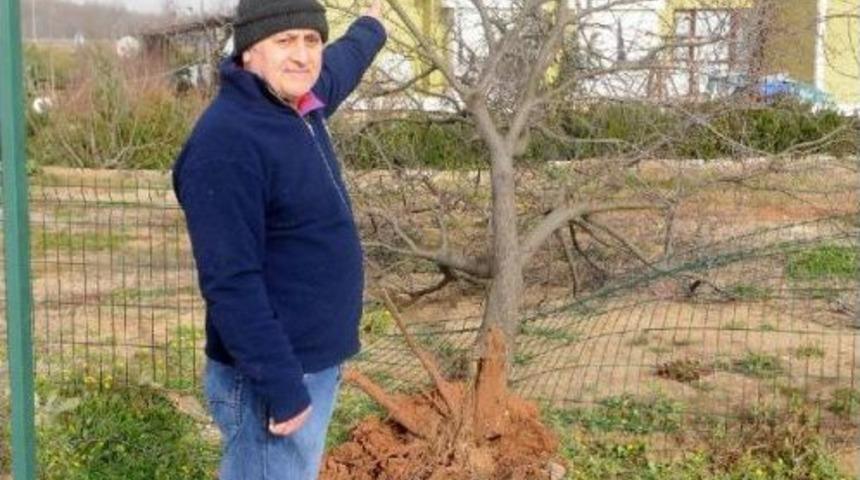 Yalova'da Deniz Ulaşımına Lodos Engeli (2)