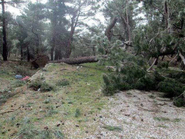 Çanakkale'de Fırtına Etkisini Sürdürüyor (2)