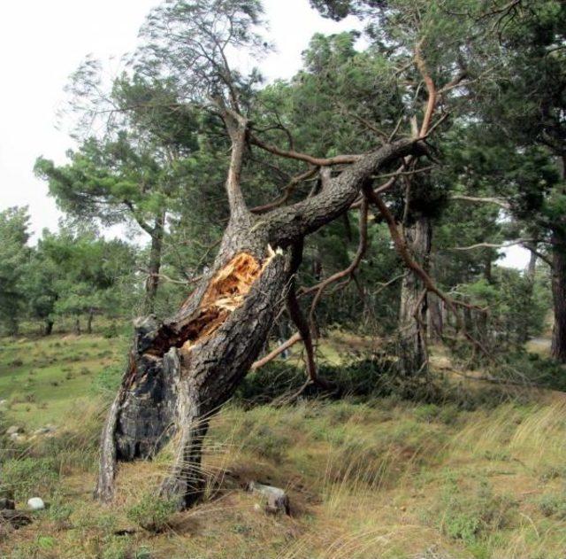 Çanakkale'de Fırtına Etkisini Sürdürüyor (2)