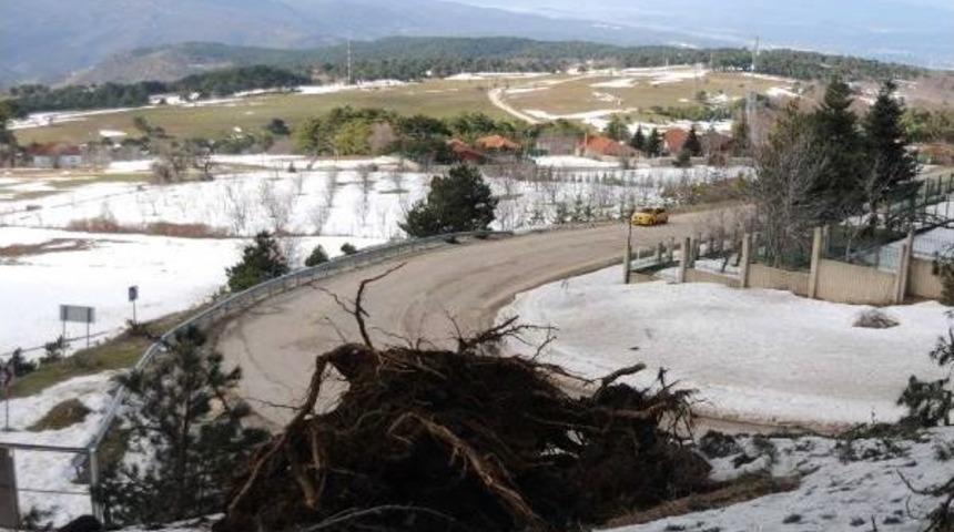 Timsah Arena’Nın Vinci Taksi Üzerine Devrildi; 1 Ölü, 1 Yaralı (7)