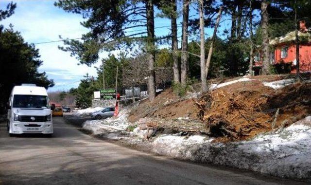 Timsah Arena’Nın Vinci Taksi Üzerine Devrildi; 1 Ölü, 1 Yaralı (7)