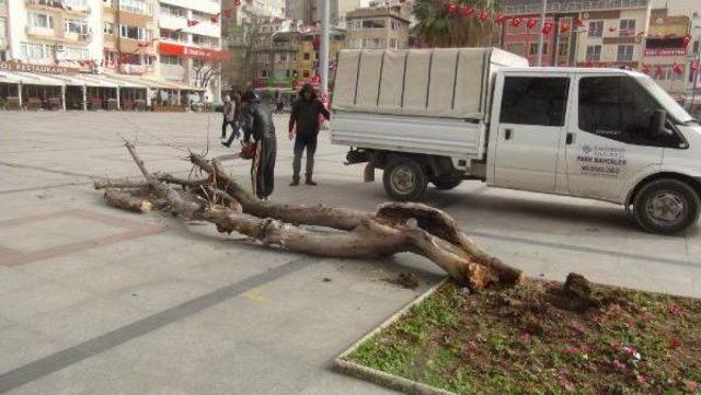 Bandırma’Da Lodos Balıkçı Teknesi Batırdı