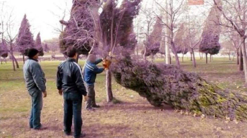 İzmir- Ankara Karayolunda Ulaşıma Fırtına Engeli
