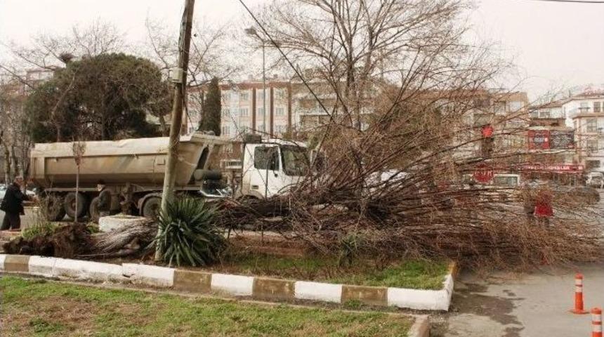 Lodos Tekirdağ&rsquo;da Ağa&ccedil;ları S&ouml;kt&uuml;, Tabelaları Kopardı