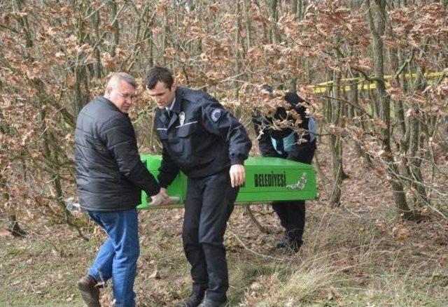 Kaybolduktan Bir Gün Sonra Ormanda Cesedi Bulundu