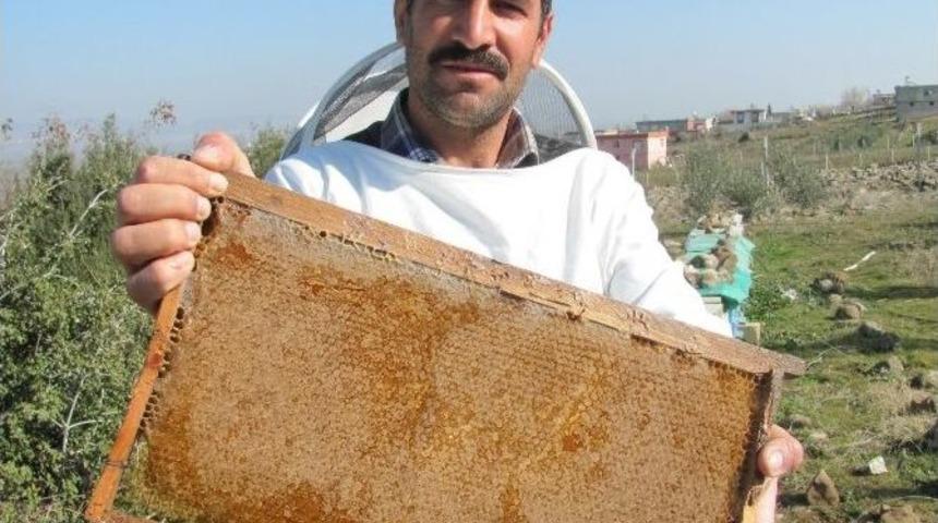 Araban&rsquo;da &Uuml;retilen Organik Bala Yoğun Talep