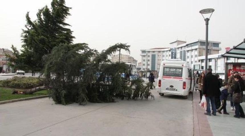 Balıkesir'de Lodosun Faturası Ağır Oldu, 1 Kişi &Ouml;ld&uuml;