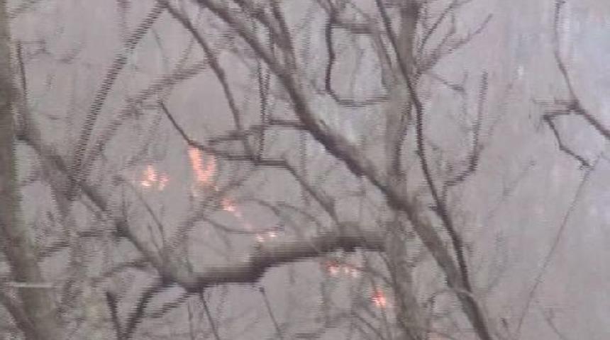 Şile'de Orman Yangını...