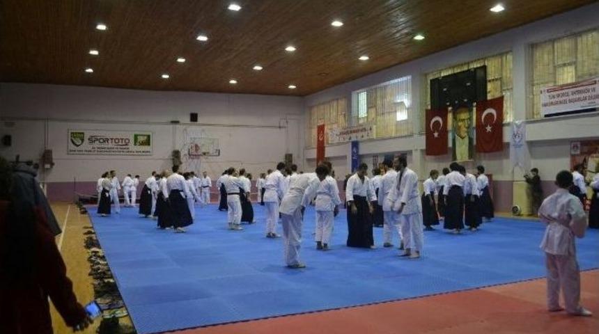 Bilecik&rsquo;te 2 G&uuml;nl&uuml;k Aikido Eğitimi Sona Erdi