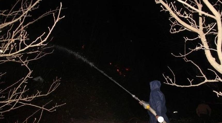 Sinop&rsquo;ta Lodos Yangına Neden Oldu