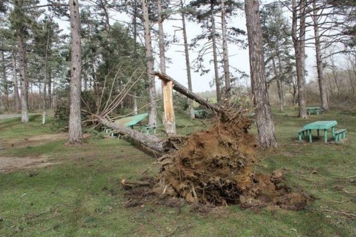 Yenice’de Lodos Maddi Hasara Neden Oldu G5