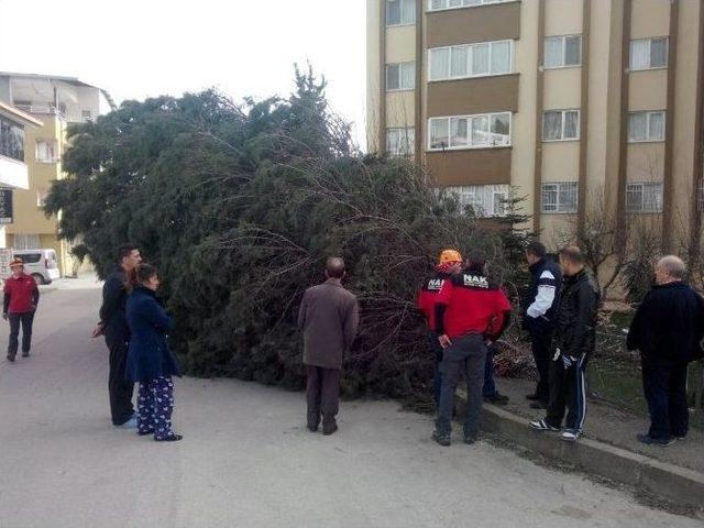 Nak Arama Kurtarma İş Başında