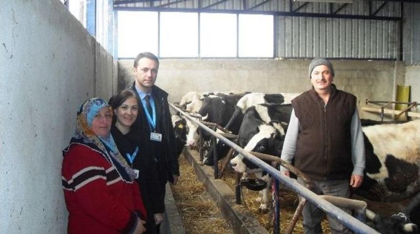 İzmit Belediyesi Ekipleri Haftanın 3 Günü Köylerde