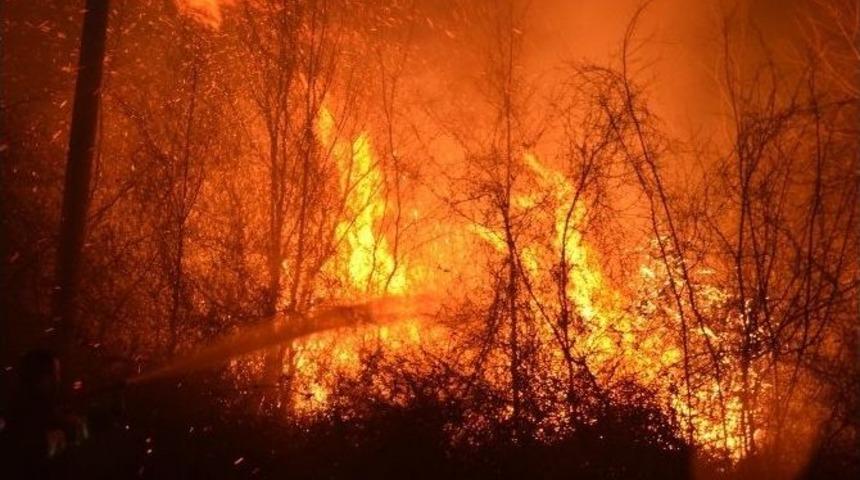 Samsun&rsquo;da 8 Ayrı B&ouml;lgede Orman Yangını Meydana Geldi