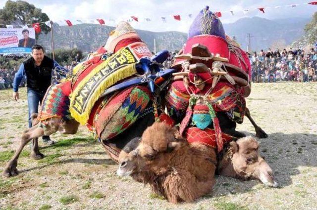 Develer Eğitime Katkı Için Güreşti