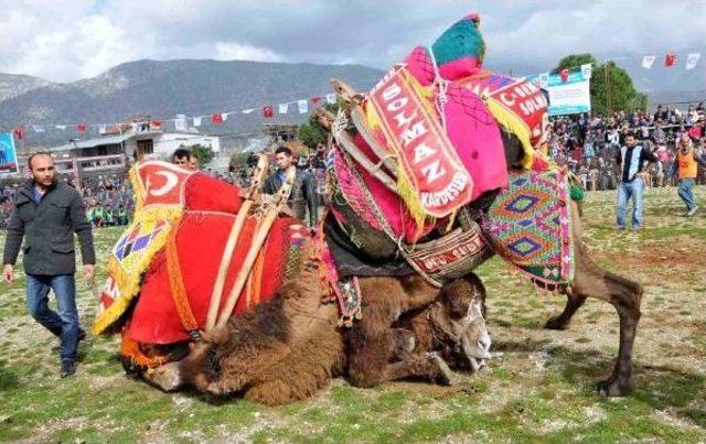 Develer Eğitime Katkı Için Güreşti