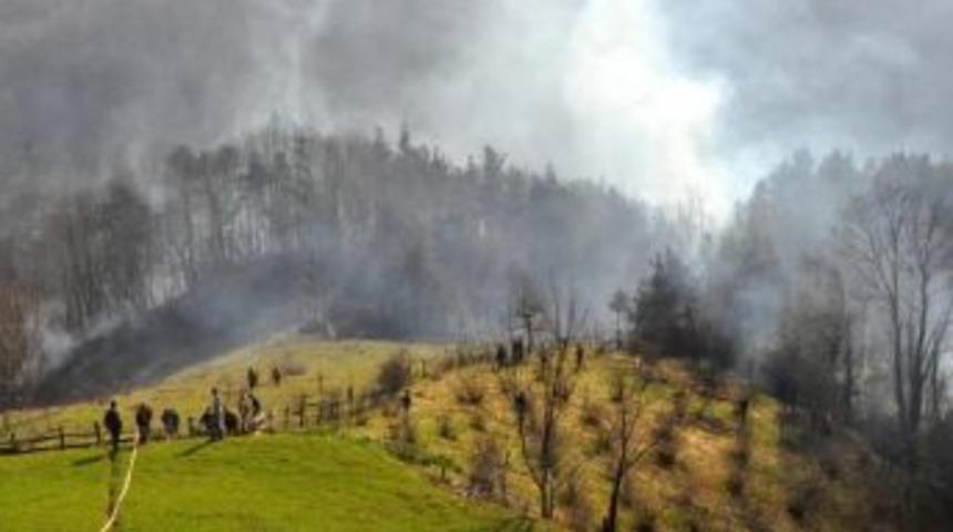 Bartın'da 36 D&ouml;n&uuml;m Orman Yandı