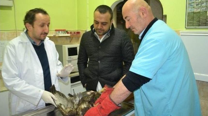 (&ouml;zel Haber) Hasta Kartala Vatandaş Sahip &Ccedil;ıktı