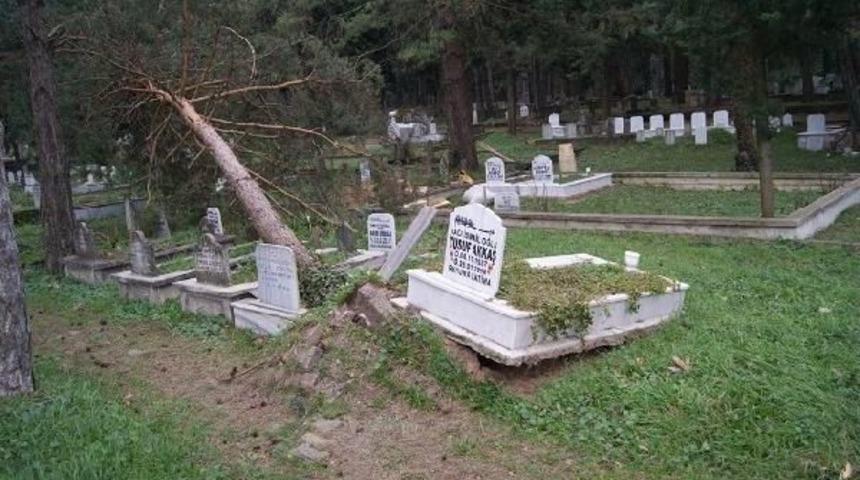 Lodos Sakarya'da Mezarları Alt &Uuml;st Etti