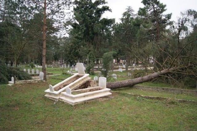 Lodos Sakarya'da Mezarları Alt Üst Etti