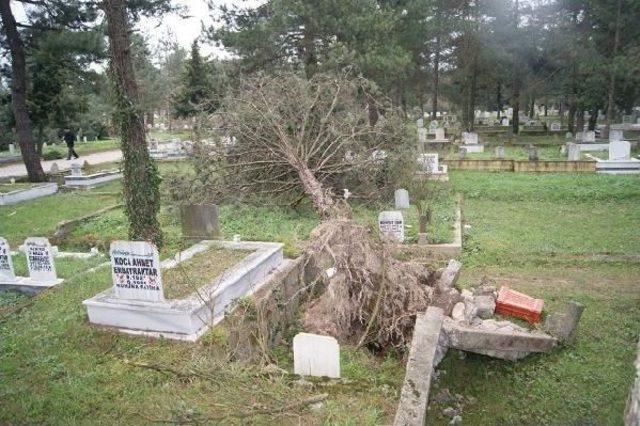 Lodos Sakarya'da Mezarları Alt Üst Etti