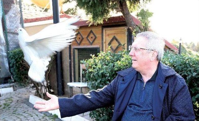 Aziz Yıldırım’dan ‘havuz’ Açıklaması