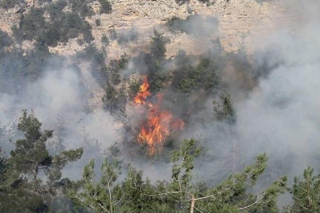 Piknik Ateşi, 3 Hektar Ormanlık Alanı Yaktı