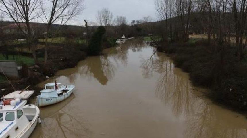 B&ouml;ylesi Ilkkez Oluyor..riva Deresi &Ouml;l&uuml; Balık Akıyor